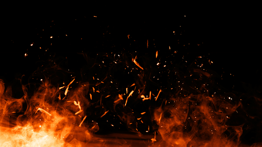 Using Beef Tallow: Smoking a Brisket