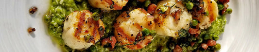 Seared Scallops with Pancetta